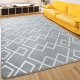 Shaggy Rug, 5x7ft Gray Area Rug, Fluffy Moroccan Geometric Rug for Interior Decor